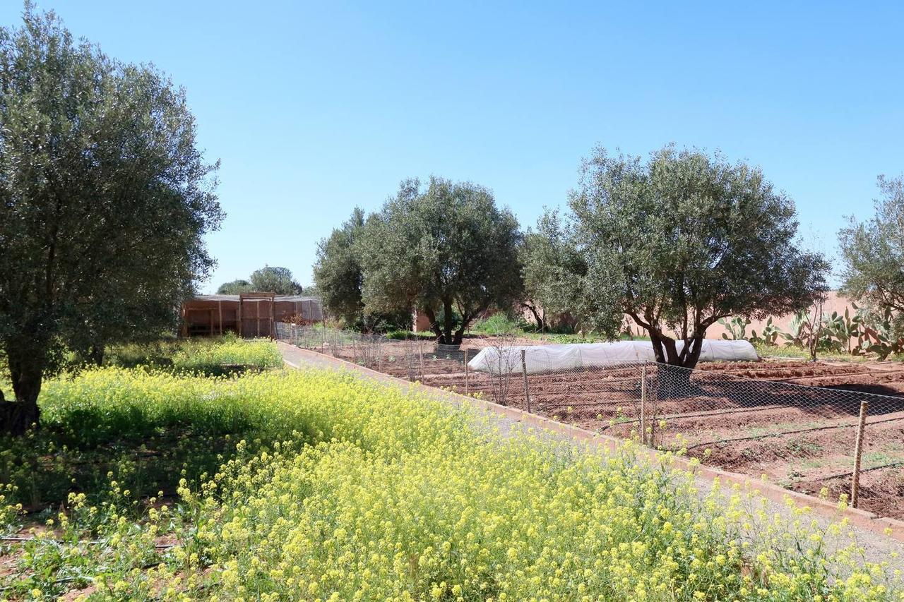 Villa Kristy Μαρακές Εξωτερικό φωτογραφία